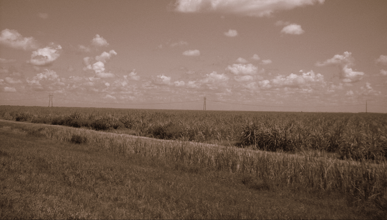 Hippo Valley Estates